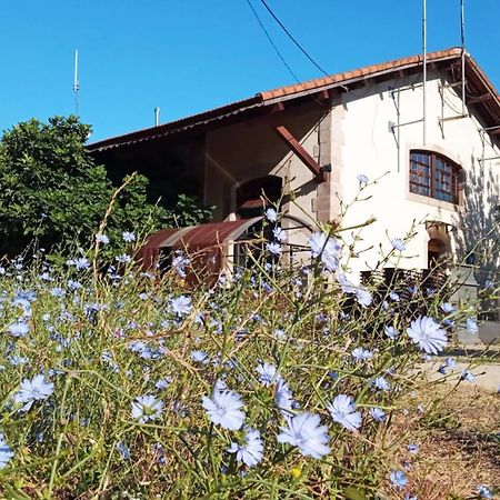 Albergue & Cafeteria Via De La Plata Hervás Buitenkant foto